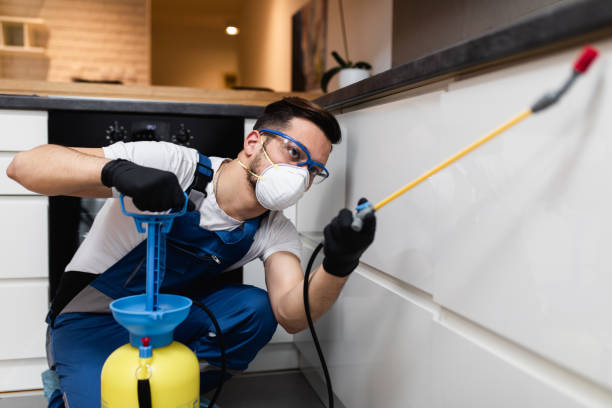Best Bed Bug Extermination  in Truckee, CA
