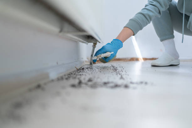 Best Commercial Pest Control Services  in Truckee, CA